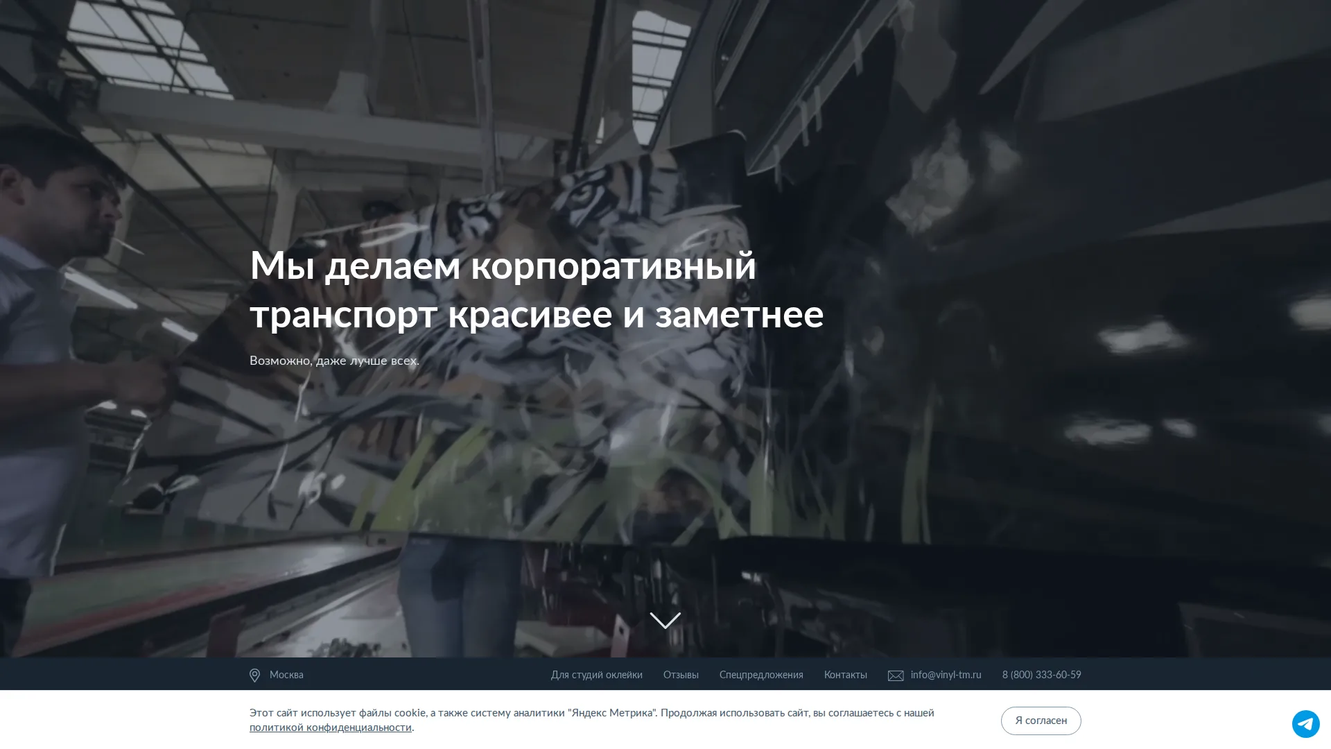 Главная страница проекта Vinyl TM